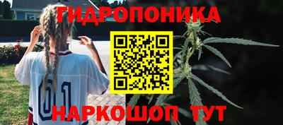 ECSTASY Можайск