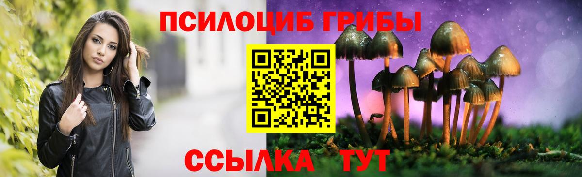 Славянск-на-Кубани  Псилоцибиновые грибы ЛСД  Вход с VPN 