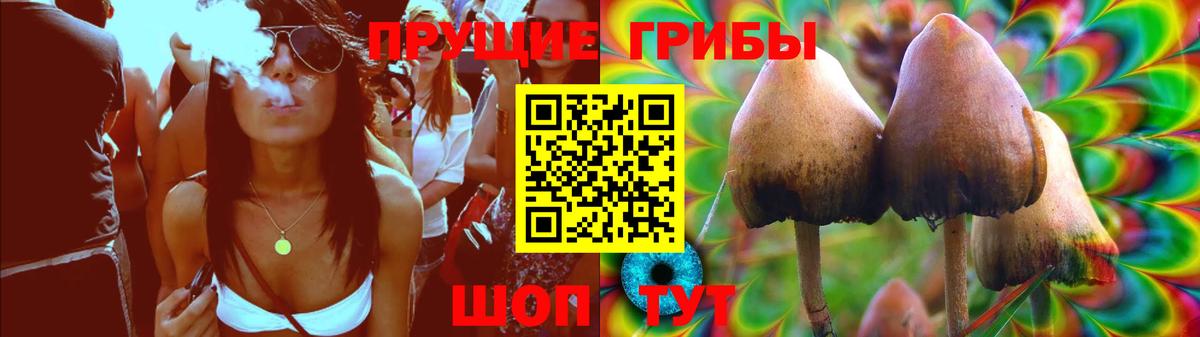 Псилоцибиновые грибы Psilocybe Славянск-на-Кубани